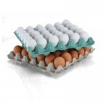 Αυγοθήκες χάρτινες Μ 53-63gr 75τεμ. | Smartfarm.gr