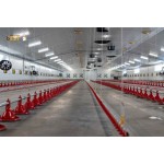 Αυτόματο σύστημα τροφής με πιάτο bEST για κότες κρεατοπαραγωγής & αυγοπαραγωγής  | Smartfarm.gr